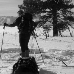 FIELDNOTES: I report on an idea for a winter refuge