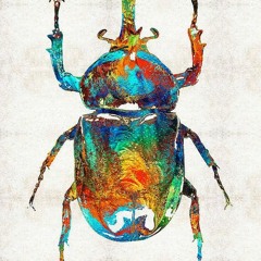 Beetle Skin