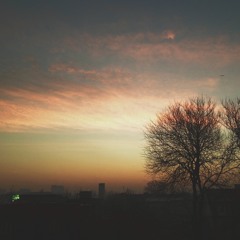 Twist in my Sobriety(cover)