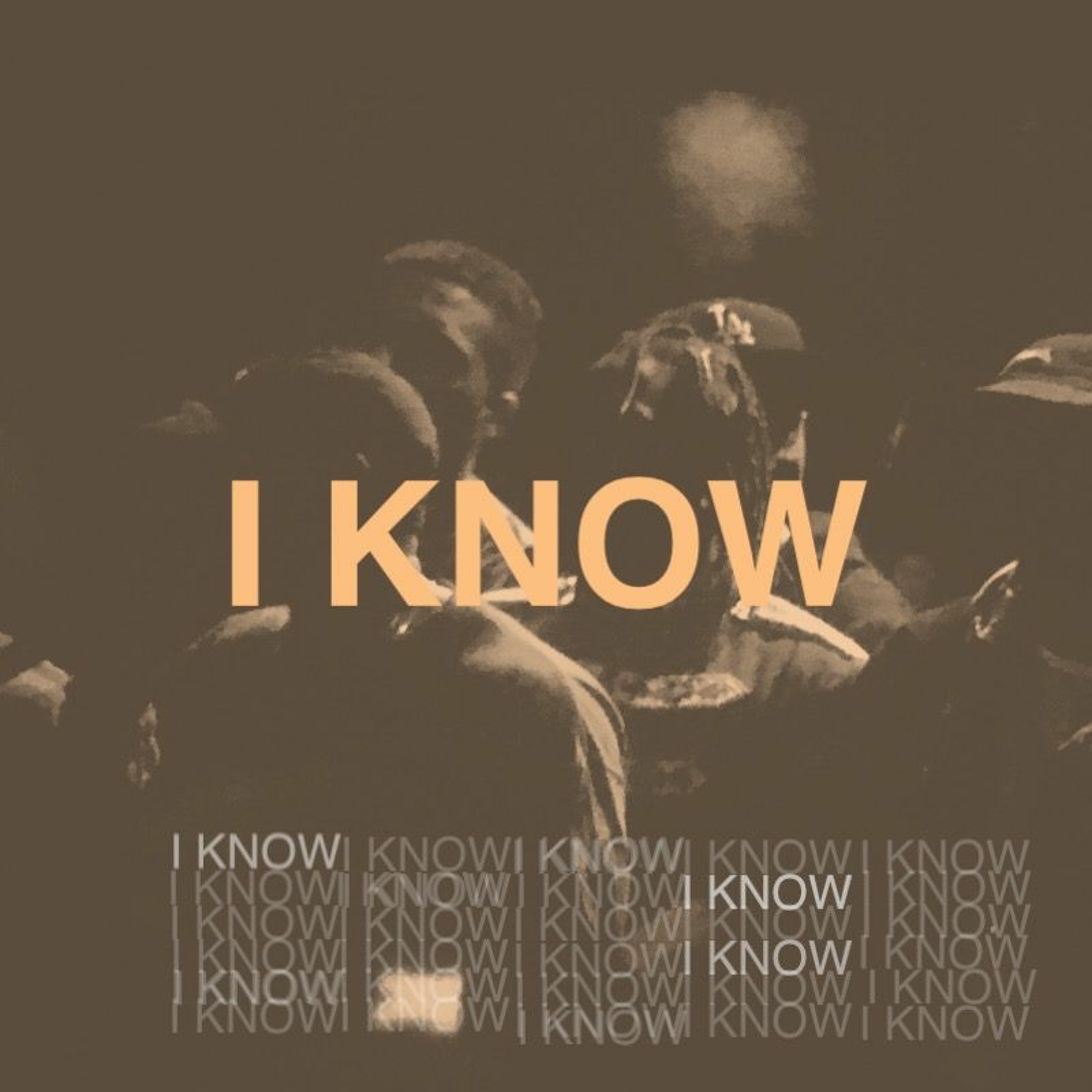 I KNOW (In Her Mouth Remix) episode artwork