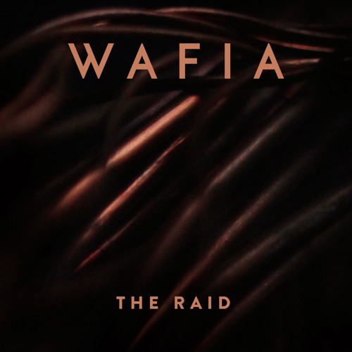 The Raid
