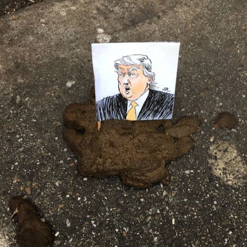 THE MAN WHO SAYS NOTHING