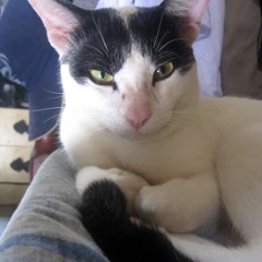 Someday In This Happiness