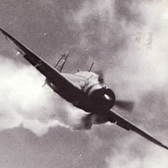 Fighting For Freedom