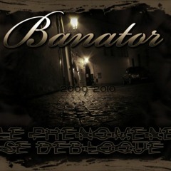 BANATOR & SOPHIE BRISSON - L'AMITIÉ - DÉMO - PROD BANATOR.