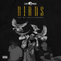 Birds ft. Matt Fuze & ThatBoyEric (PROD. Filthy Rich Beats)