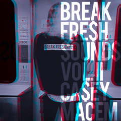 BREAK FRE$H SOUNDS VOL 2 - CASEY MACEM