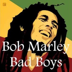 (PREVIEW)Bob Marley - Bad Boys (DJ Pedro Takano Mashup)