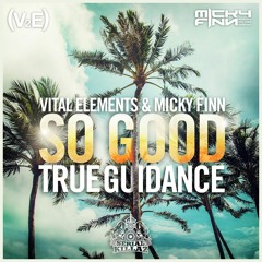 Vital Elements & Micky Finn - "True Guidance"