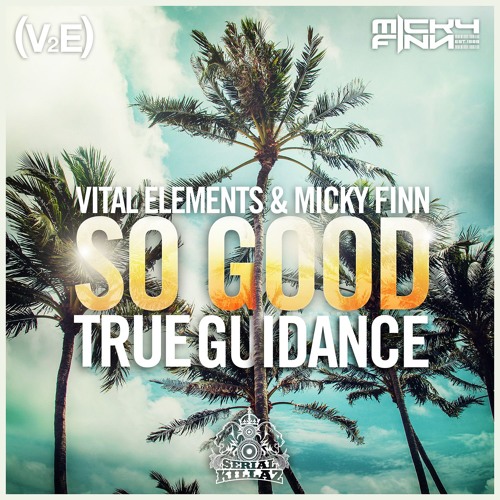 Vital Elements & Micky Finn - "True Guidance"