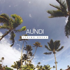 AUNDI Spring Break Mix