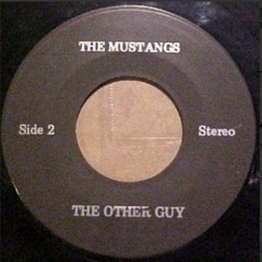 Mustangs - The Other Guy