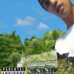 RONPACK - HIT DA SCENE