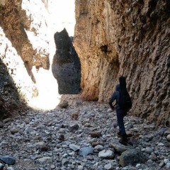 Don't Carry It All (The Decemberists Cover)