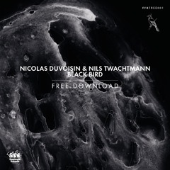 Nicolas Duvoisin & Nils Twachtmann - Black Bird (FREE DOWNLOAD)