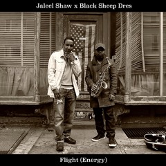 Flight (Energy) ft. Dres of Black Sheep