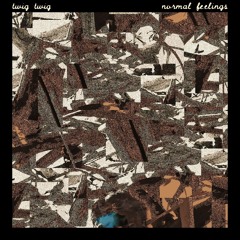 normal feelings EP