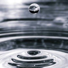 Chicken Noodle Shisha