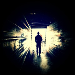 ROBERT BABICZ Cats in Space with voice over