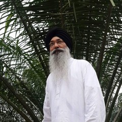 Bhai Harjinder Singh Ji Sri Nagar