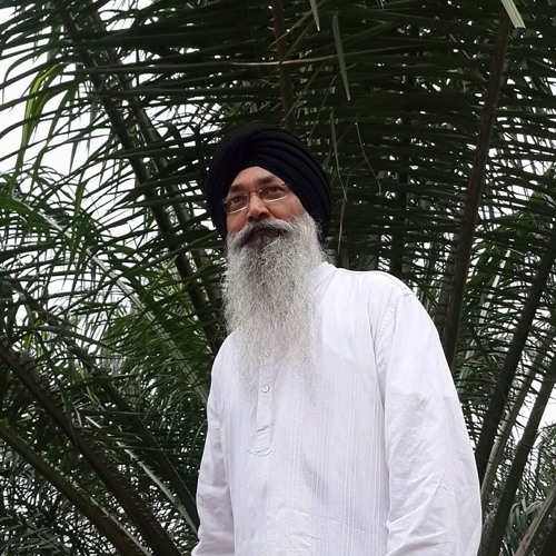 Bhai Harjinder Singh Ji Sri Nagar