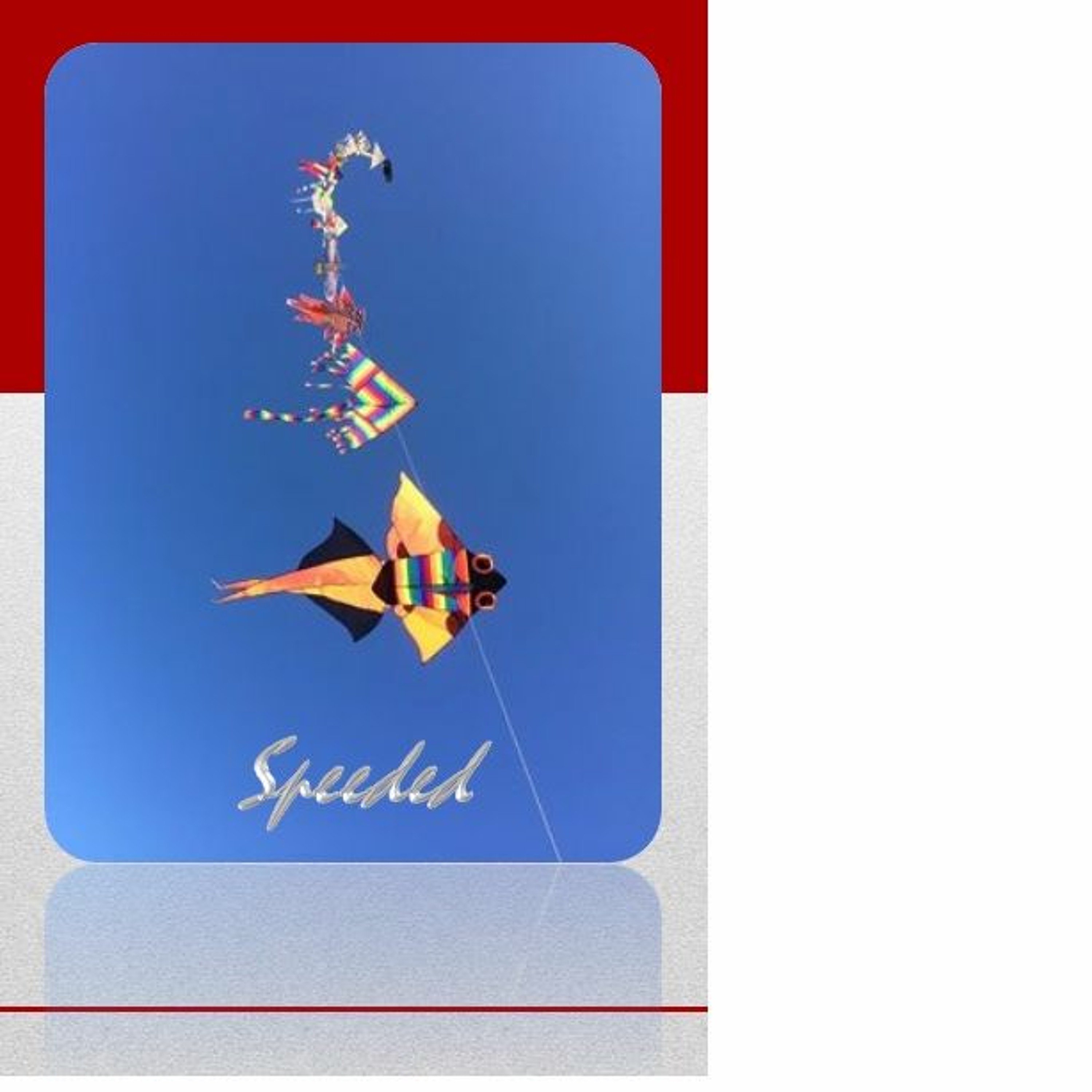 Masterfly@Speeded < mobile phone ringtone > episode artwork