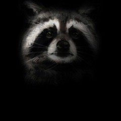 Russia medieval-OST Stronghold Crusader Pack