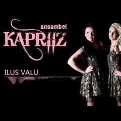 Kapriiz- Ilus Valu