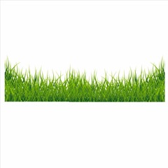 Miishkonhs.Grass
