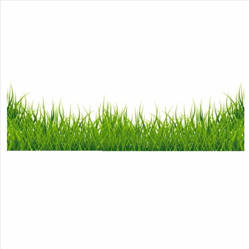 Miishkonhs.Grass