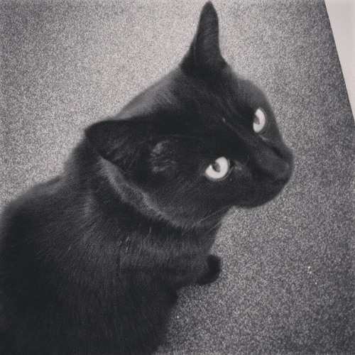 Don't You Want Me Baby