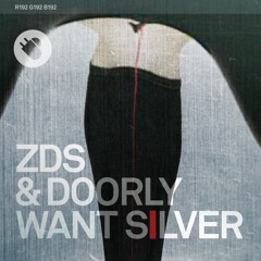 ZDS & Doorly - The Vibe