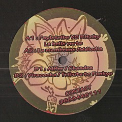 Ritchy VS Psylotribe - La Belle Verte (Vinyl - Mamie denise 10)