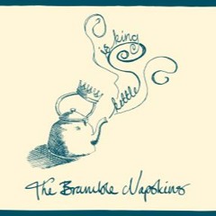 Little Boy Traveller