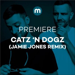Premiere: Catz 'N Dogz 'Good Touch' ft. Eglė Sirvydyte (Jamie Jones Remix)