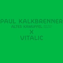 Paul Kalkbrenner - Altes Kammufel (Vitalic Remix)