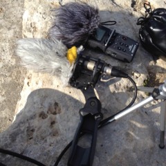 Ear Of Dionisyus Part 2