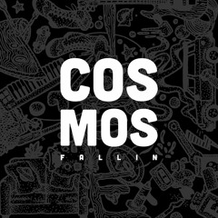 Fallin x Natty King'Stone - Galaxie