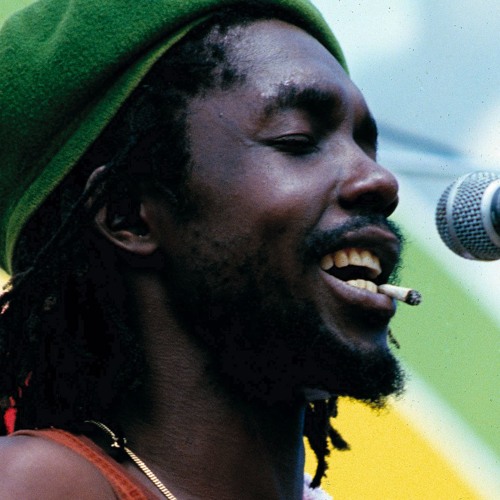 Peter Tosh - Pick Myself Up (Live) (1977)