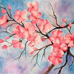 Cherry Blossoms -- Brian Oakes (Night Beds cover)