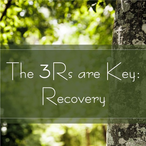 Stream episode 3Rs Keys to Recovery by Trees Are Key podcast Listen
