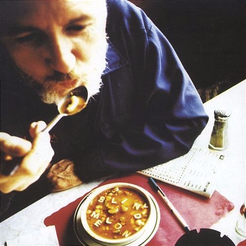 Blind Melon - Mouthful Of Cavities (acoustic cover)