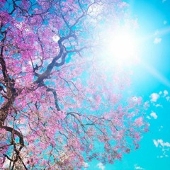 Bahor Ifori (Dubstep Mix)