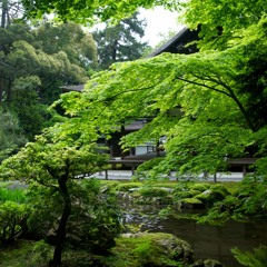 Zen Garden