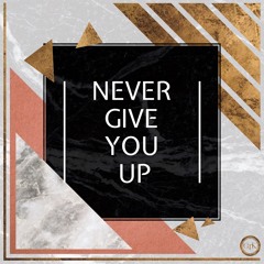 Never Give You Up