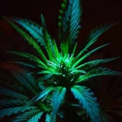 Infinite (final mix)