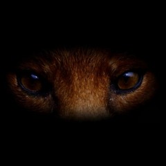 Tango - Understanding (Strictly Jungle Remix)
