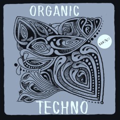 Raw Loops - Organic Techno Audio Demo