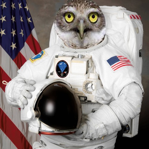 Yuri Gagar-owl