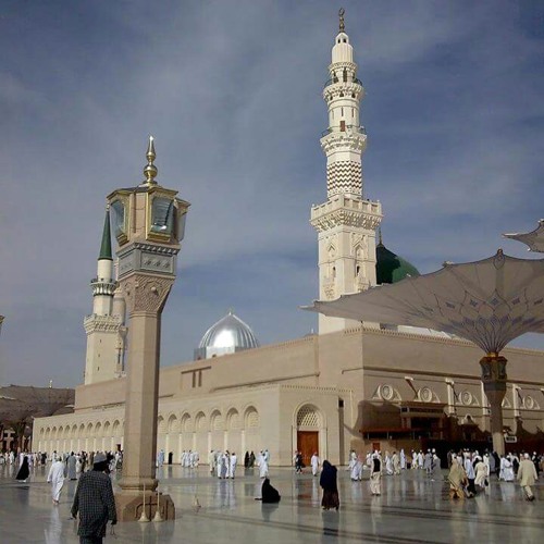 ♡ قطعنا الفيافى لخير الوري.. محمد خاطر ... من ديوان الجعفرى